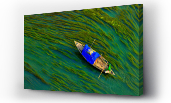 Wizualizacja Obrazu : #485640711 Aerial view of a person sailing with a canoe in the river with Algae, Sirajganj, Bangladesh.