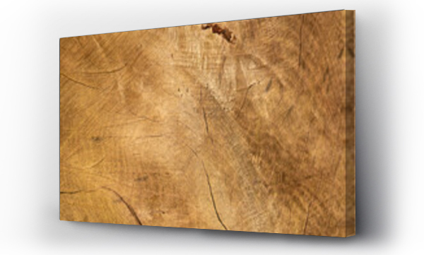 Wizualizacja Obrazu : #486775403 t?o z naturalnego drewna ?ci?tego pnia drzewa