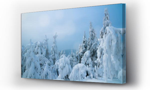 Wizualizacja Obrazu : #48735762 Zimowy krajobraz