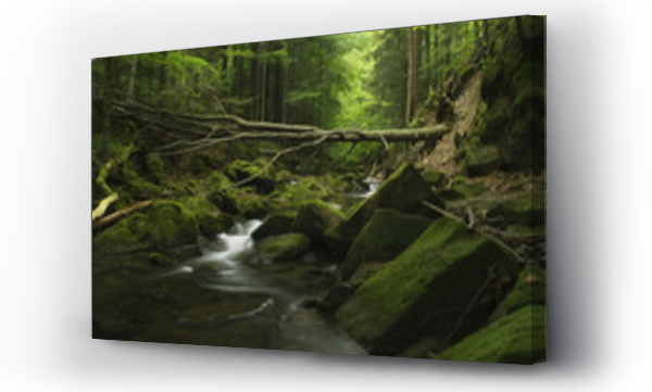 Wizualizacja Obrazu : #48792666 Magurski Park Narodowy