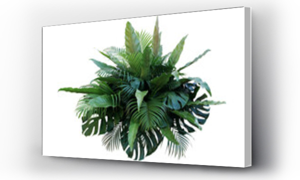 Wizualizacja Obrazu : #488404636 Tropical foliage plant bush (Monstera, palm leaves, and Birds nest fern) floral arrangement indoors garden nature backdrop isolated on white with clipping path..