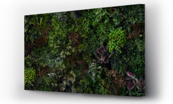 Wizualizacja Obrazu : #489165188 Creative nature wall background, tropical leaf banner or floral jungle pattern concept.