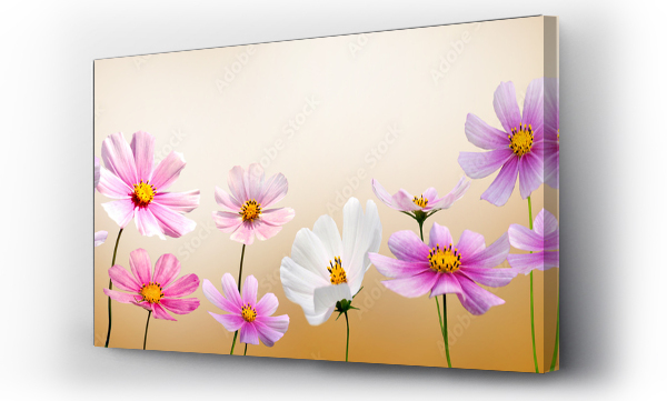 Wizualizacja Obrazu : #49007521 kwiaty