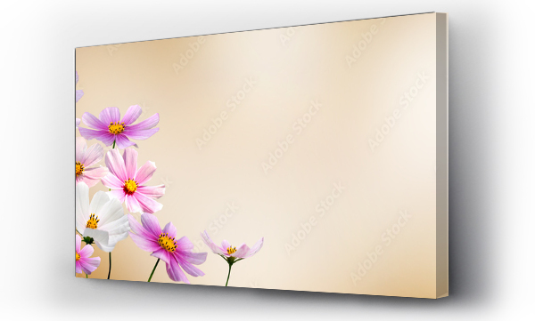Wizualizacja Obrazu : #49015325 kwiaty
