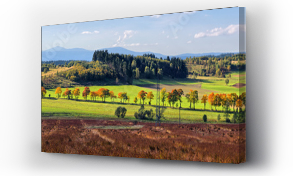 Wizualizacja Obrazu : #49038135 Autumn panorama
