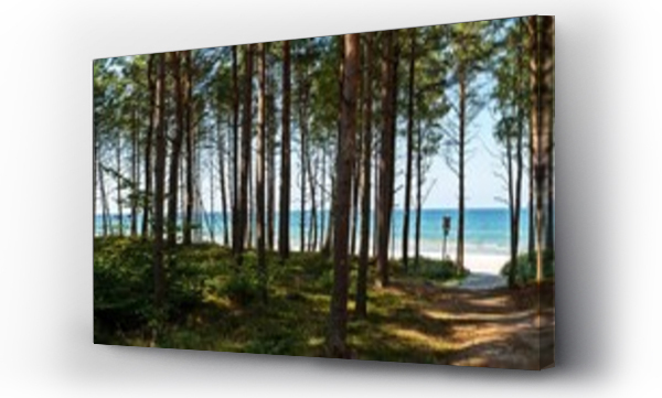 Bałtyk, bałtyk plaża, Kaszuby, morze, morze bałtyckie, plaża