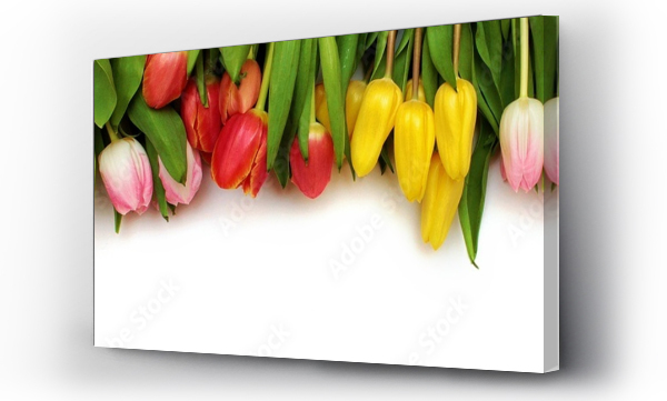 Wizualizacja Obrazu : #491855095 T?o z tulipanami