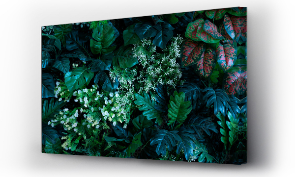 Wizualizacja Obrazu : #492382458 Creative nature wall background, tropical leaf banner or floral jungle pattern concept.