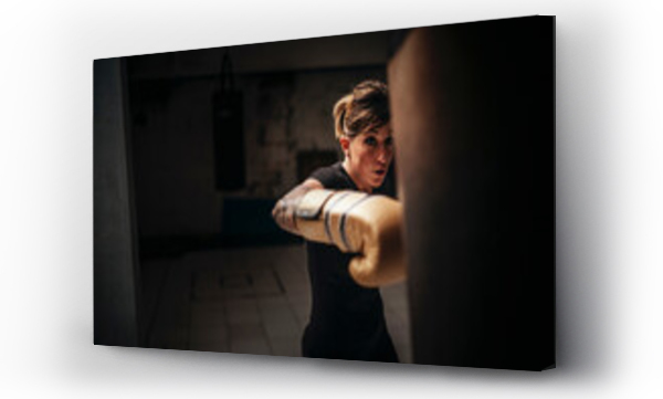 Wizualizacja Obrazu : #493301011 Focused strong woman boxing in gloves