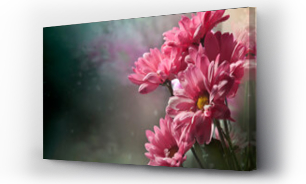 Kwiaty, różowe, różowe kwiaty