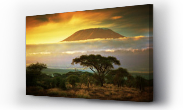 Wizualizacja Obrazu : #49494611 Mount Kilimanjaro. Savanna w Amboseli, Kenia