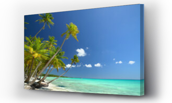 Wizualizacja Obrazu : #495499155 perfekter Strand mit Palmen