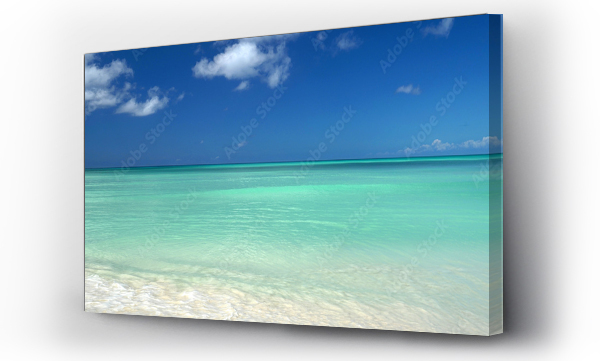 Wizualizacja Obrazu : #495944018 endloses karibisches Meer