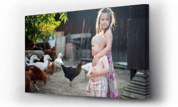 Wizualizacja Obrazu : #495972926 dzieci i zwierz?ta - dziewczynka i ch?opiec karmi? kurki na wolnym wybiegu