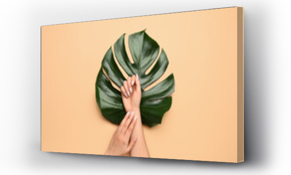 Wizualizacja Obrazu : #496206108 Female hands with beautiful manicure and monstera leaf on color background