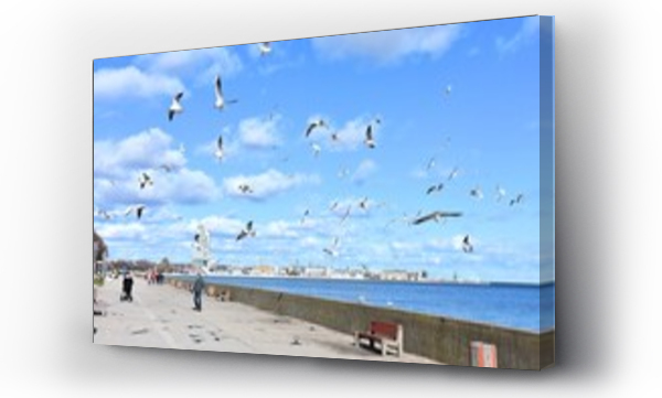 Wizualizacja Obrazu : #497912806 Gdynia, miasto portowe nad Ba?tykiem, miejscowo?? wypoczynkowa, nad morzem,