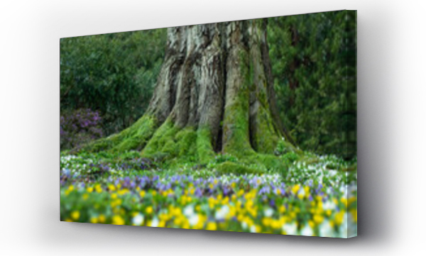 drzewo, las kwiaty, łąka