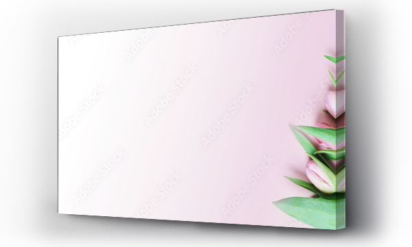 Wizualizacja Obrazu : #499968236 Baner kwiaty