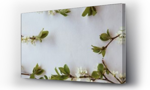 Kwiaty, Kwiaty białe, Liście