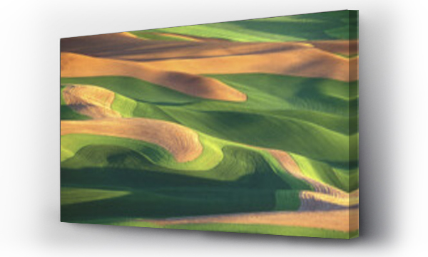 Wizualizacja Obrazu : #502615104 High angle view of rolling landscape, Steptoe Butte State Park, Washington State, USA