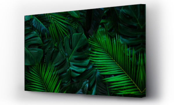 Wizualizacja Obrazu : #503920203 closeup nature view of palms and monstera and fern leaf background. Flat lay, dark nature concept, tropical leaf.