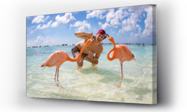 Wizualizacja Obrazu : #504210677 man on flamingo beach in aruba