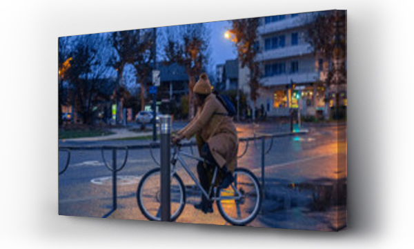 Wizualizacja Obrazu : #504470857 woman riding bike in city by night, commute by bicycle