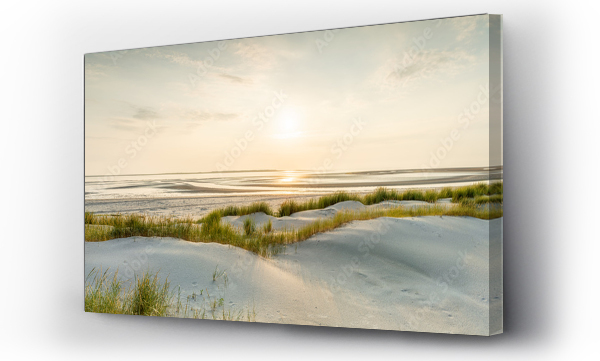 Morze piasek, Panorama