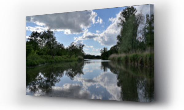 drzewo, Pejzarz, łąka