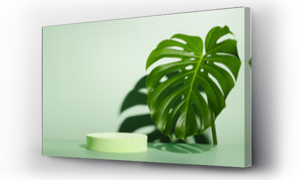 Wizualizacja Obrazu : #508038978 Geometric podium with monstera leaf and harsh shadows. Minimal display for cosmetic and product presentation