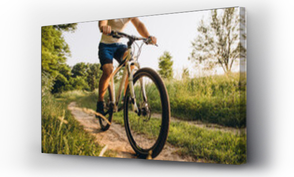 motocykl, rowerzysta