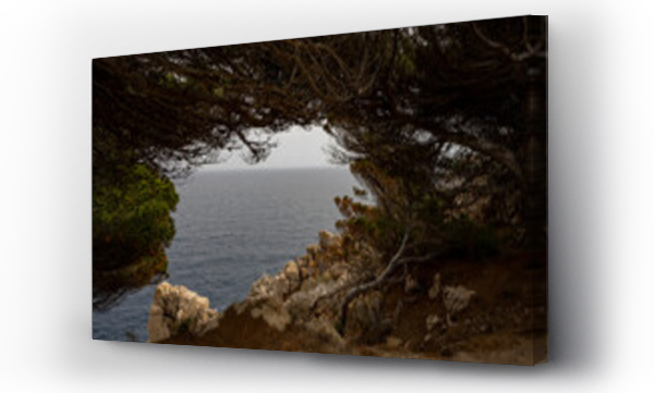 Wizualizacja Obrazu : #509960960 Widok na morze ze skalistego wybrze?a, ramka z drzew. 
