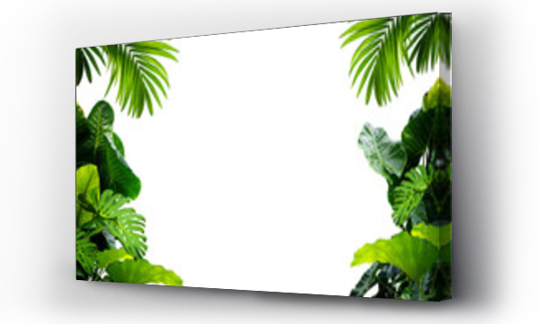 Wizualizacja Obrazu : #512159585 Green leaves Plant isolated