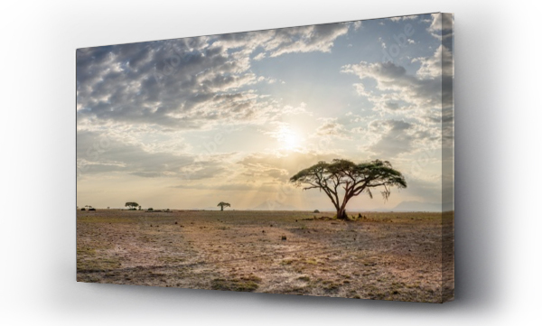 Wizualizacja Obrazu : #512807134 Sunset panorama at the Amboseli National Park, Kenya, Africa