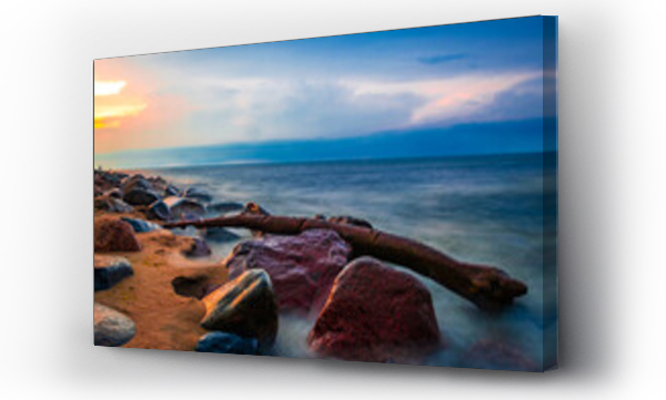 drzewo, morze, plaża, polskie morze