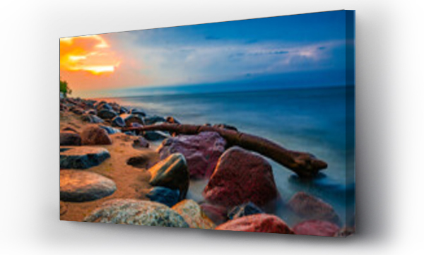 drzewo, morze, plaża, polskie morze