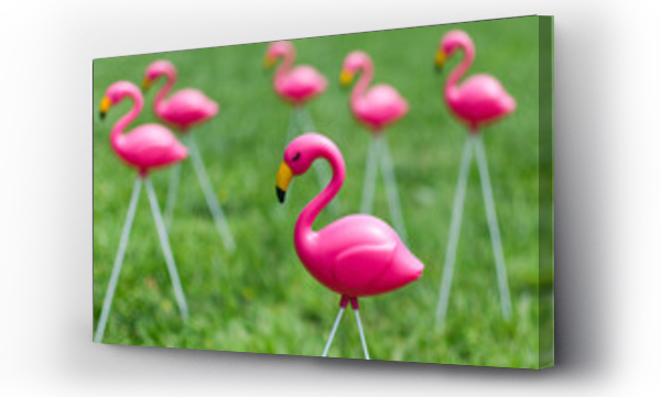 Wizualizacja Obrazu : #515526801 Plastic pink flamingos in a yard of bright green grass