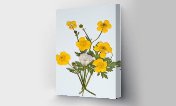 Kwiaty, suszone kwiaty