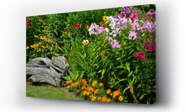 Kolorowe kwiaty, Krajobraz kwiaty, Kwiaty