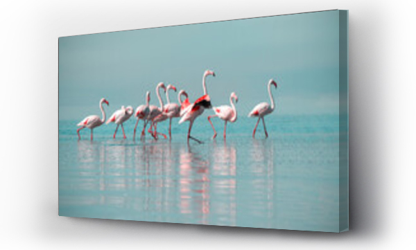 Wizualizacja Obrazu : #518068176 Wild african birds. Group birds of pink african flamingos  walking around the blue lagoon