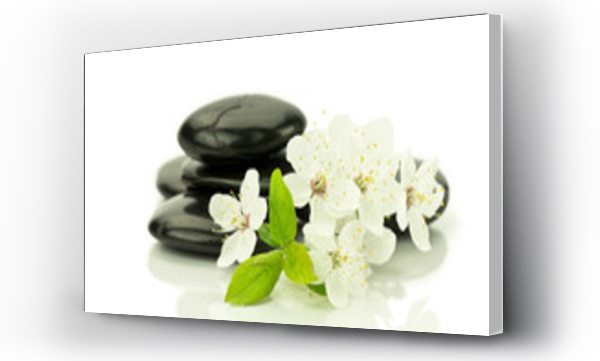 Kwiaty dzikiej ?liwy z kamieniami do spa