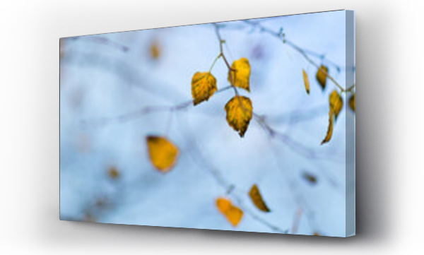 Wizualizacja Obrazu : #519585846 Jesienne drzewo