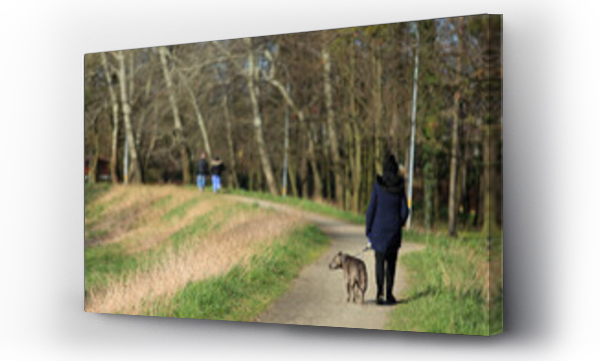 Wizualizacja Obrazu : #520329853 Kobieta z psem na spacerze drog? wzd?u? rzeki.