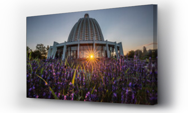 Wizualizacja Obrazu : #520330728 The Bahaitum, Temple Church or House of Worship behind blooming lavender fields with sun star in the morning. Hofheim, Taunus, Germany