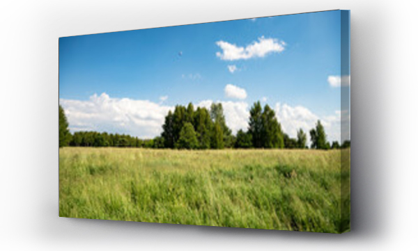 Wizualizacja Obrazu : #520426653 ??ki, pola, letnie ??ki, ??ki i lasy, Kwitn?ce trawy, zielone ??ki, s?oneczny dzie? na wsi 