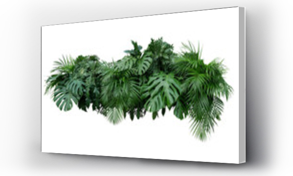 Wizualizacja Obrazu : #522563475 Tropical leaves foliage plant bush floral arrangement nature backdrop on transparent background