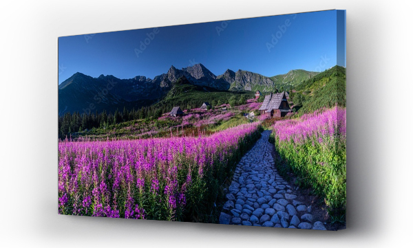 góry, Hala gasienicowa, Hala gąsienicowa sunrise, pejzaż, Polskie góry, Tatry