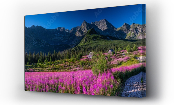 góry, góry fiolet, Hala gasienicowa, Hala gąsienicowa sunrise, pejzaż, Polskie góry, wschód słońca