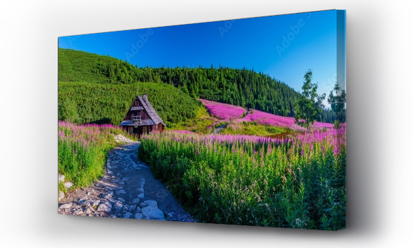góry, Hala gasienicowa, Hala gąsienicowa sunrise, krajobraz, pejzaż, Polskie góry, Tatry, zakopane