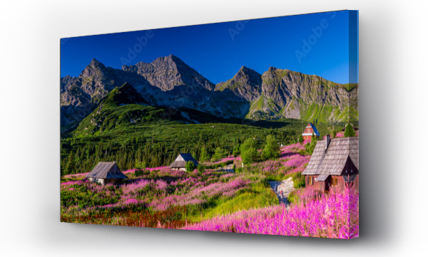 góry, góry fiolet, Góry zakopane, Hala gasienicowa, Hala gąsienicowa sunrise, krajobraz, pejzaż, Tatry, wschód słońca, zakopane